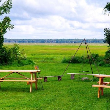 Wilcza Nora - Pole Biwakowe Hotel Dolistowo Nowe Bagian luar foto